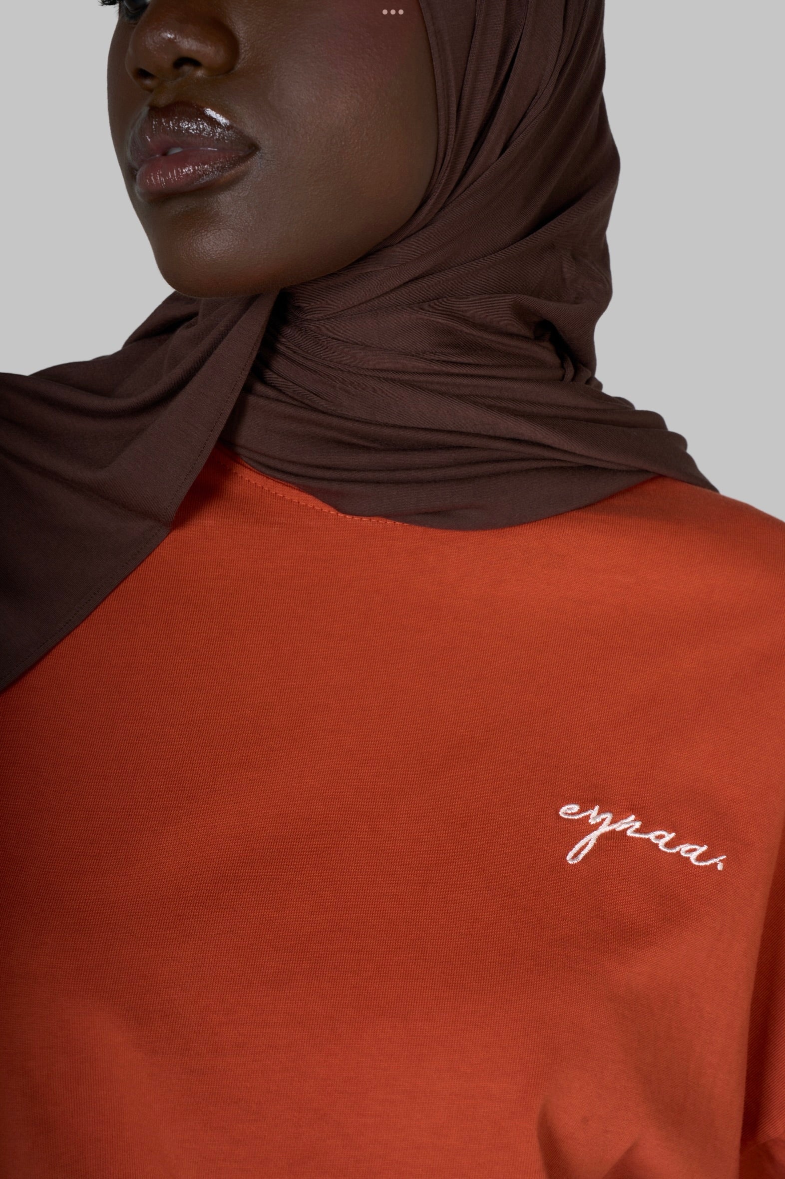 BASIC T-SHIRT [TERRACOTTA]